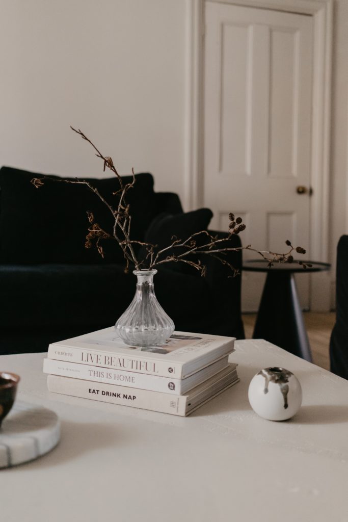 Living room coffee table books