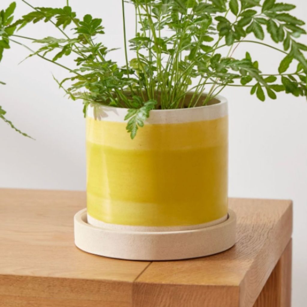 Sketchbook Ceramic Planter - Citrus yellow ombre - Tabletop - West Elm - 35.10$ affordable planter plant pot brooklyn interior designer