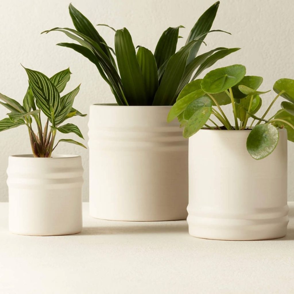 Viv white outdoor planter - Set of 3 - CB2 - 16.95$ affordable planter plant pot brooklyn interior designer